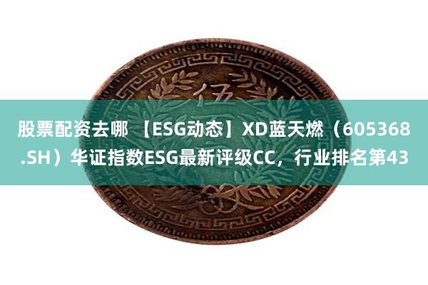 股票配资去哪 【ESG动态】XD蓝天燃（605368.SH）华证指数ESG最新评级CC，行业排名第43