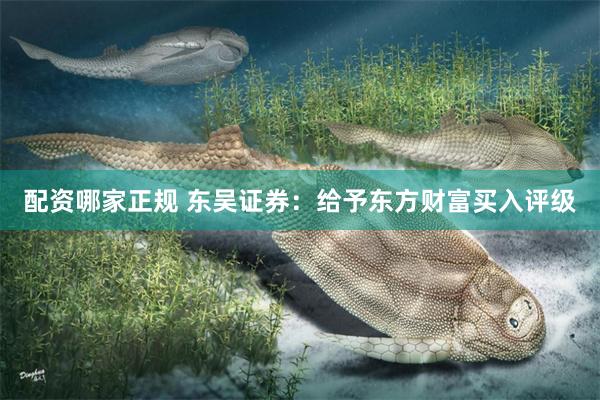 配资哪家正规 东吴证券：给予东方财富买入评级