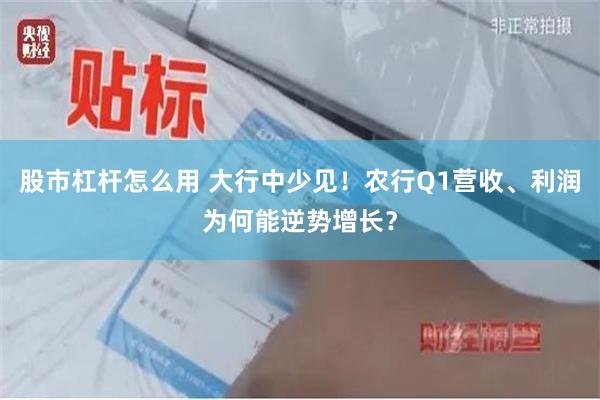 股市杠杆怎么用 大行中少见！农行Q1营收、利润为何能逆势增长？