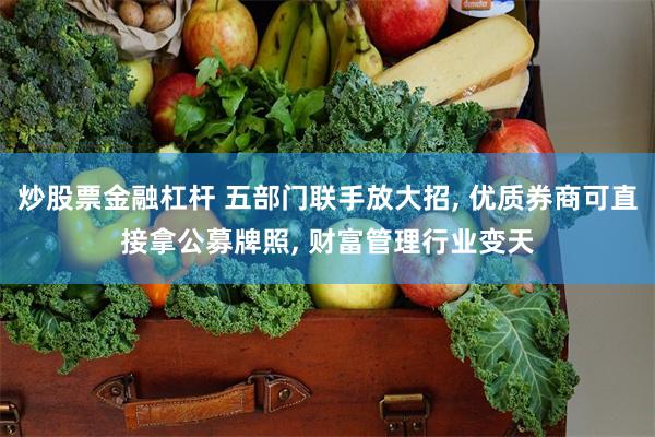 炒股票金融杠杆 五部门联手放大招, 优质券商可直接拿公募牌照, 财富管理行业变天