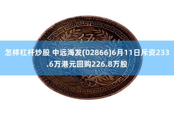 怎样杠杆炒股 中远海发(02866)6月11日斥资233.6万港元回购226.8万股
